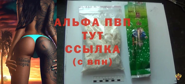стафф Алексин