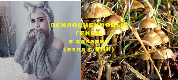героин Алзамай