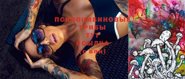 стафф Алексин