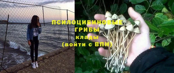 стафф Алексин